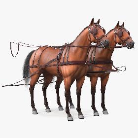 Pair of Breast Collar Harness Fur 3D model